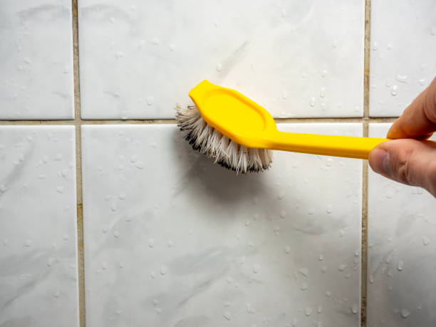 Best Mold Removal Near Me  in New Middletown, OH