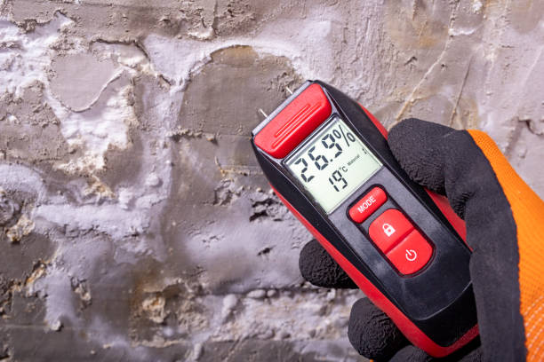Best Toxic Mold Removal  in New Middletown, OH