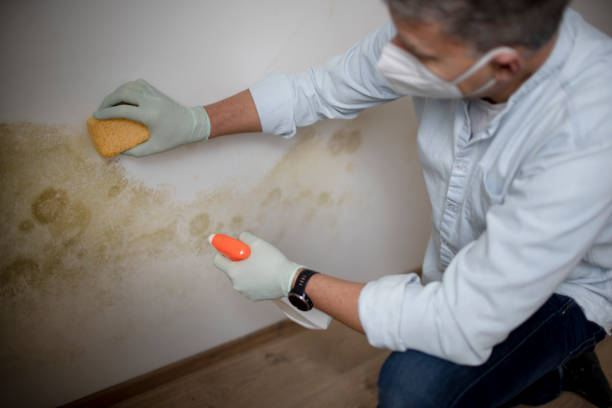 Water Damage Restoration in New Middletown, OH