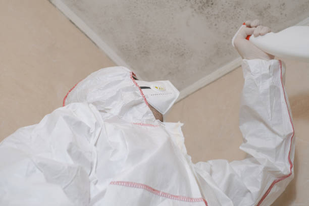 Water Damage Restoration in New Middletown, OH